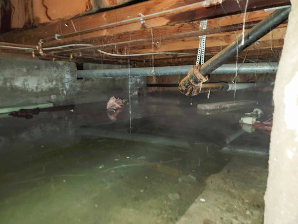 Fire Damage Restoration in Webster City, IA