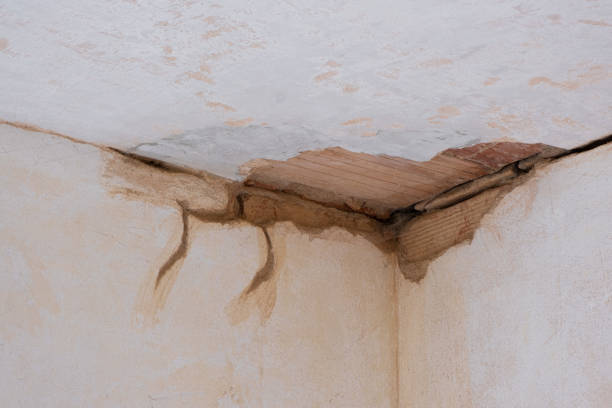 Professional Water damage restoration in Webster City, IA