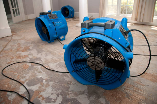 Best 24-hour water damage restoration  in Webster City, IA