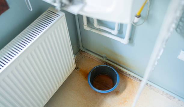 Best Mold removal after water damage  in Webster City, IA