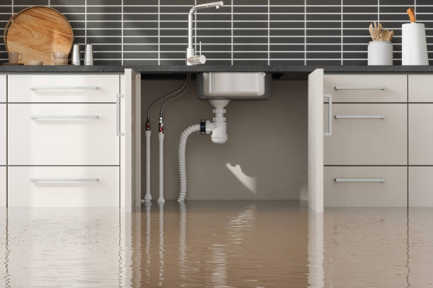 Water damage restoration mold remediation in Webster City, IA