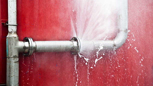 Best Water damage mitigation services  in Webster City, IA